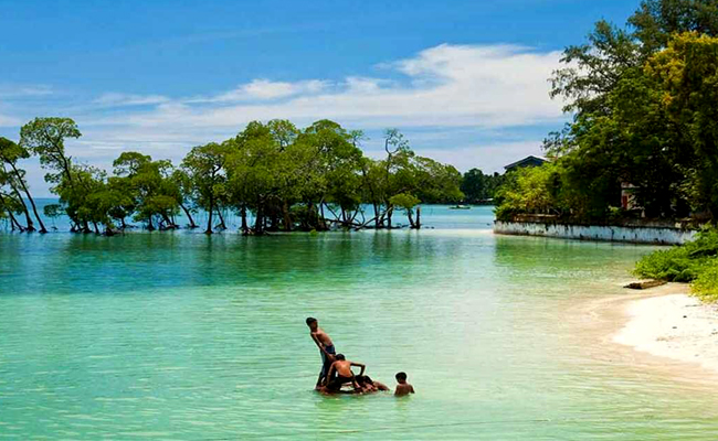 Campbell Bay National Park