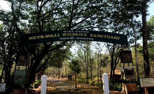 Netravali Wildlife Sanctuary