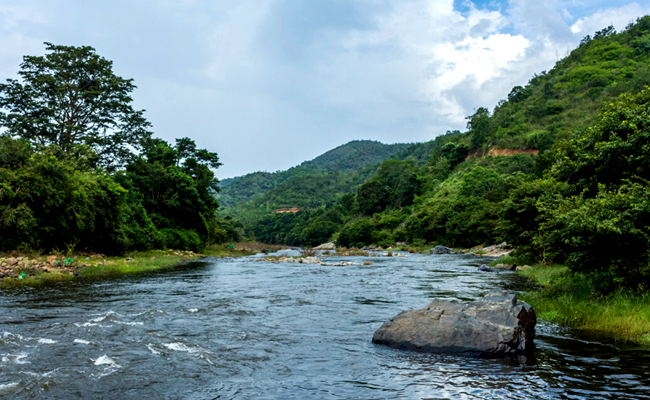 Silent Valley National Park