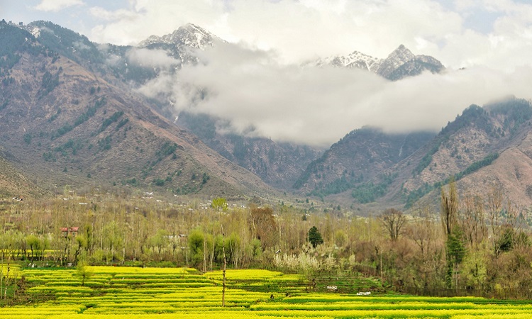 Dachigam National Park
